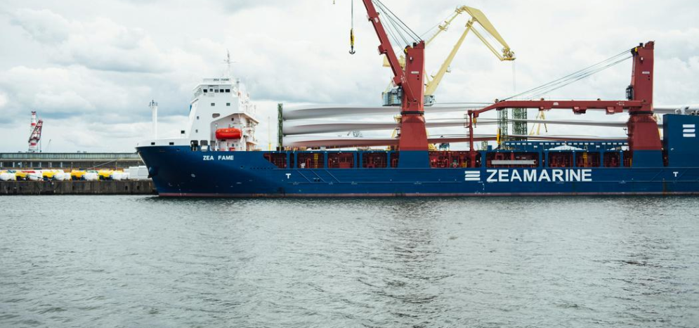 Liability vs. cargo insurance