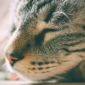 Sleep tips for truck drivers