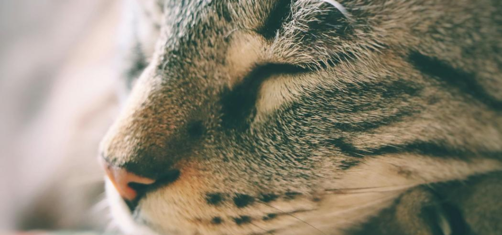 Sleep tips for truck drivers